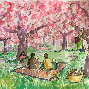 Picnic Under The Cherry Blossom